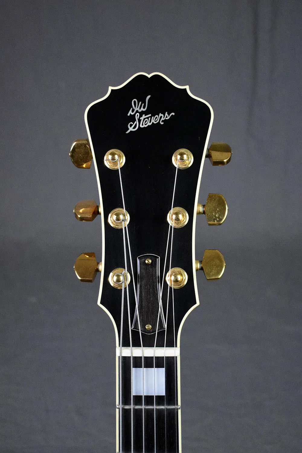 1995 D.W. Stevens 70 Pro 17" Archtop