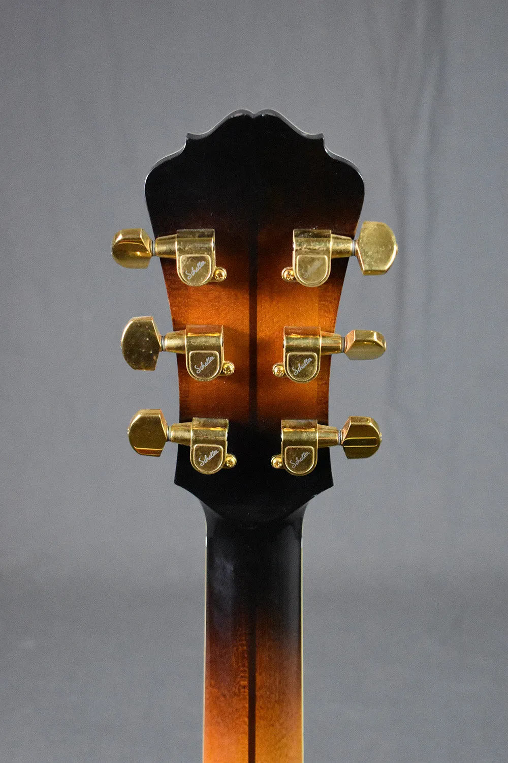 1995 D.W. Stevens 70 Pro 17" Archtop