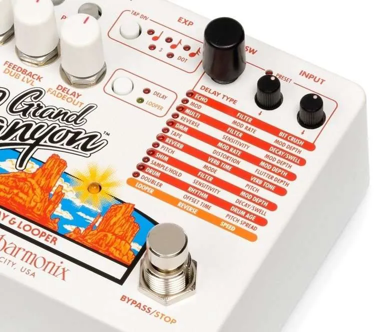 Electro Harmonix Grand Canyon Delay & Looper Pedal