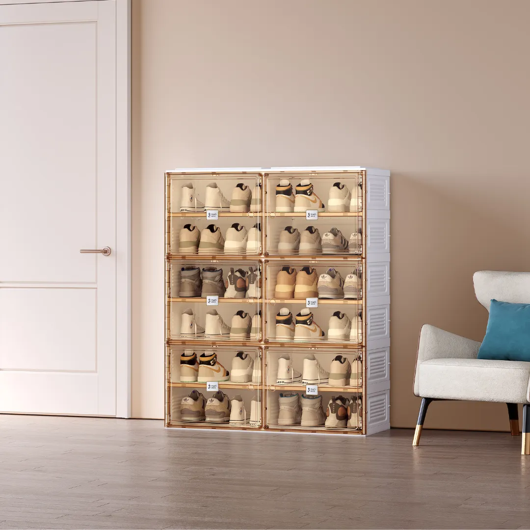 Shoe Cabinet 2 Row 6 Door 12 Grids